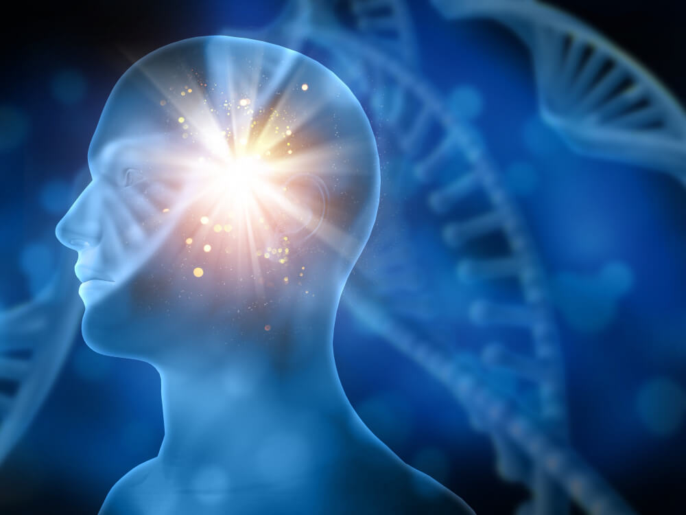How To Improve Your Brain Function